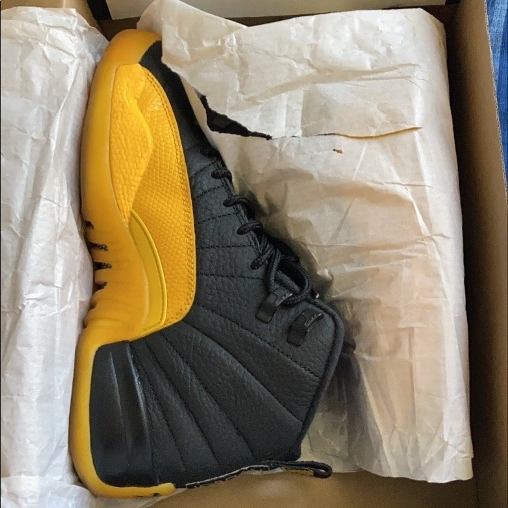Air Jordan 12s